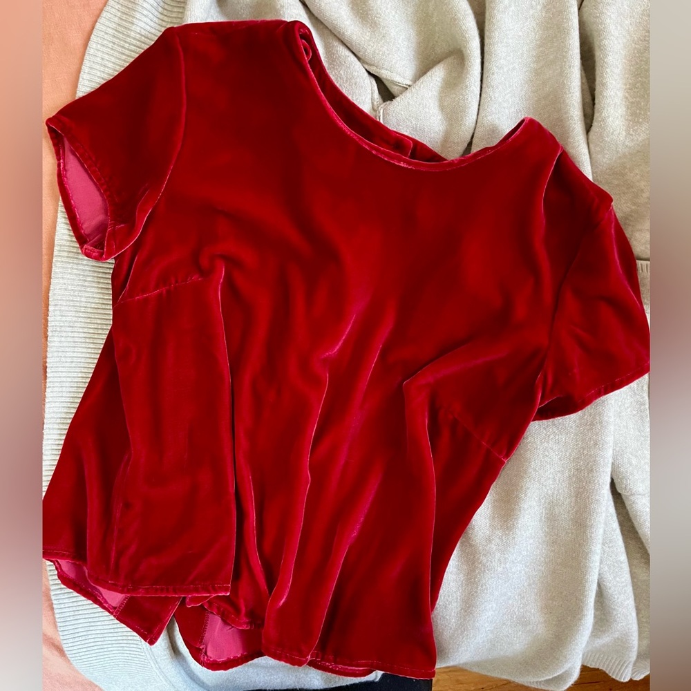 GAP velvet silk tee